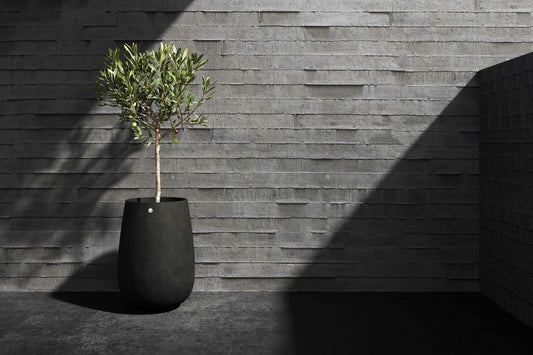 Puķu pods MONDO high 55