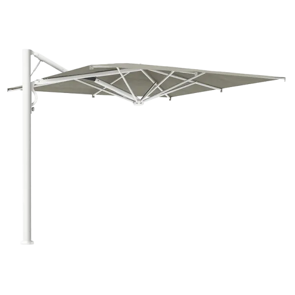 Scolaro saulessargs Astro
