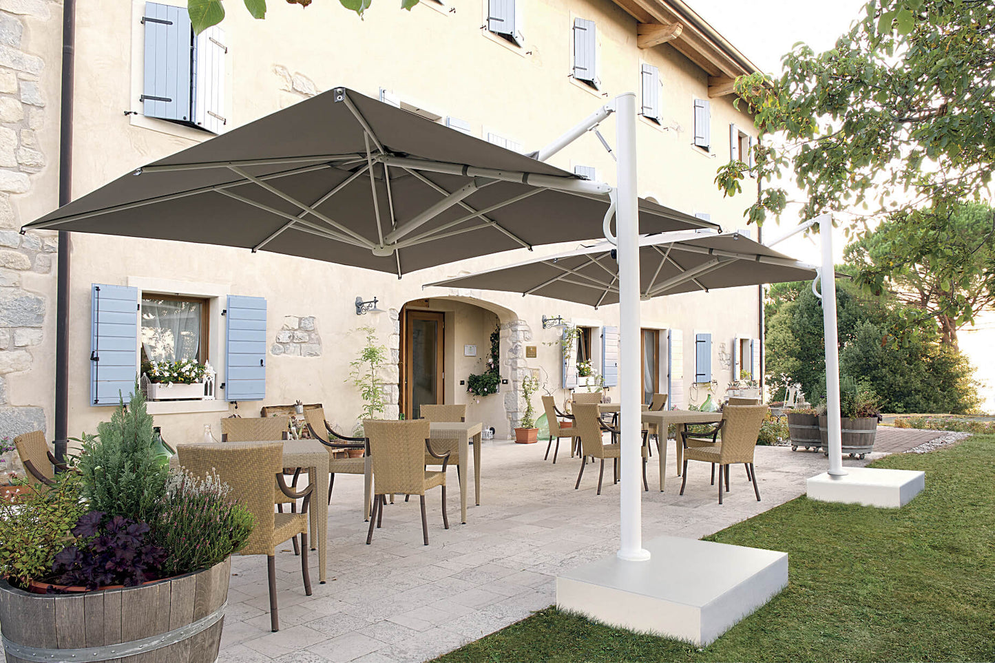 Scolaro saulessargs Astro