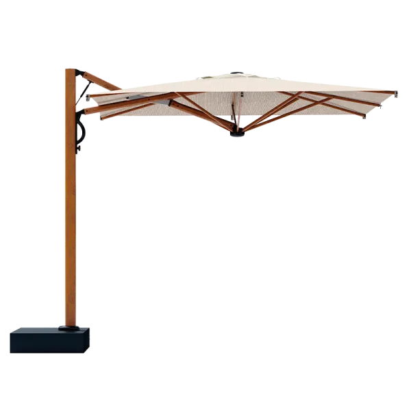 Scolaro saulessargs Astro