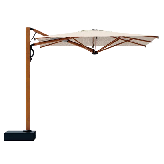 Scolaro saulessargs Astro