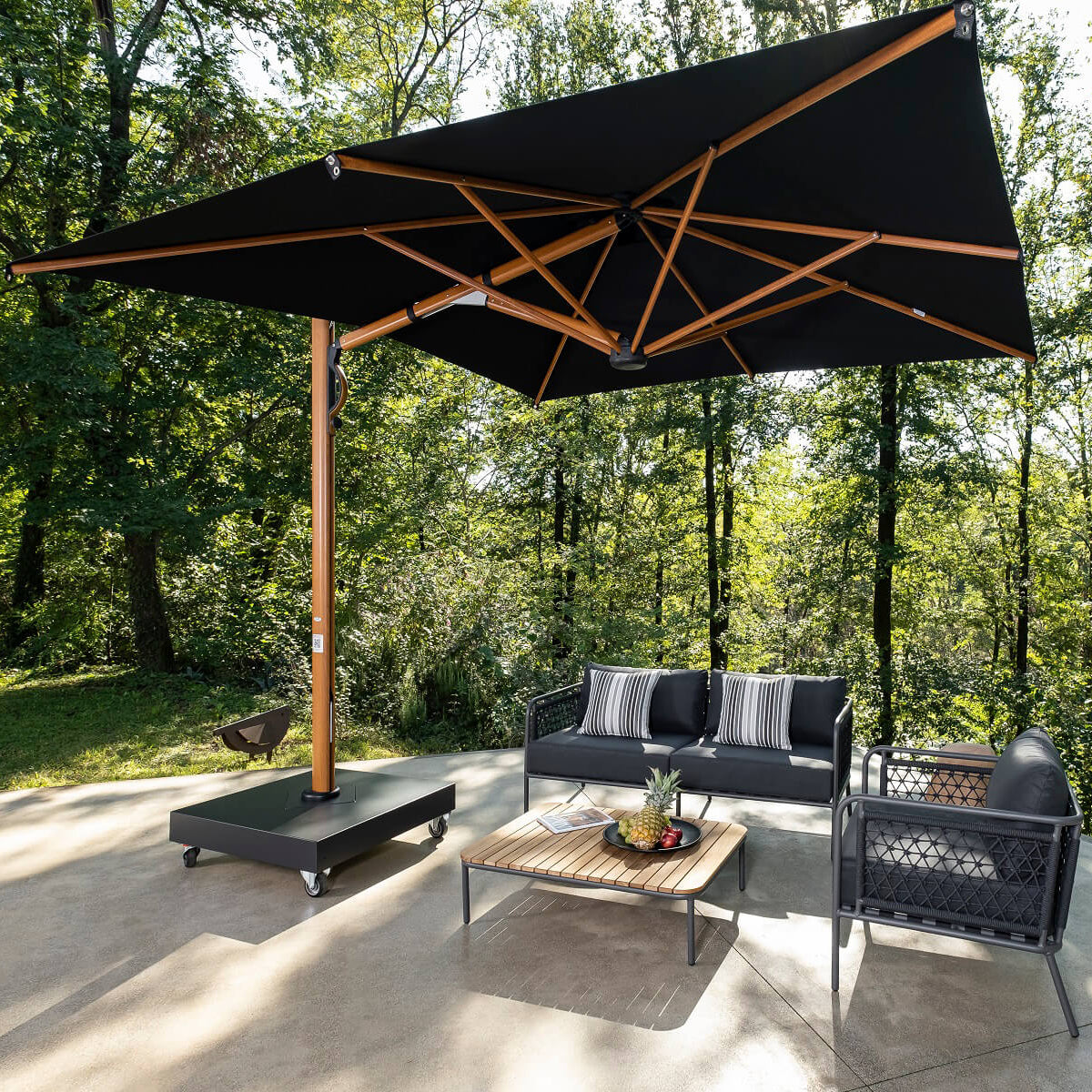 Scolaro saulessargs Astro