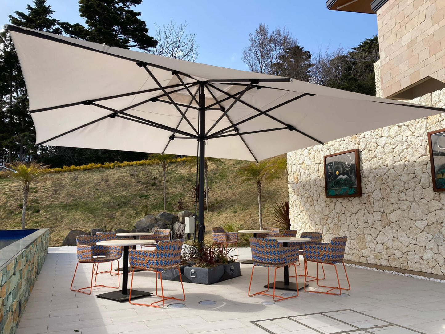 Scolaro saulessargs Capri