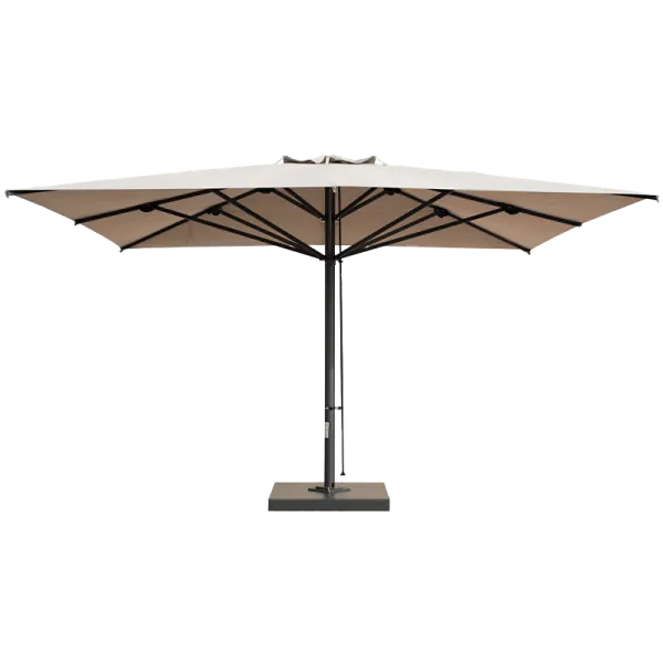 Scolaro saulessargs Capri