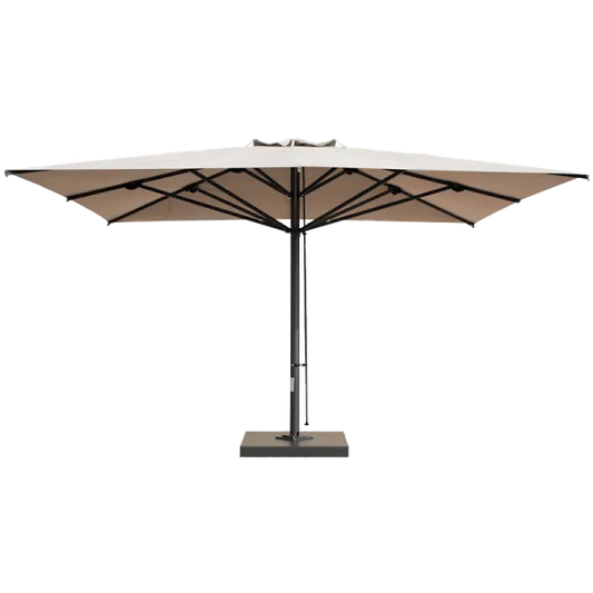 Scolaro saulessargs Capri