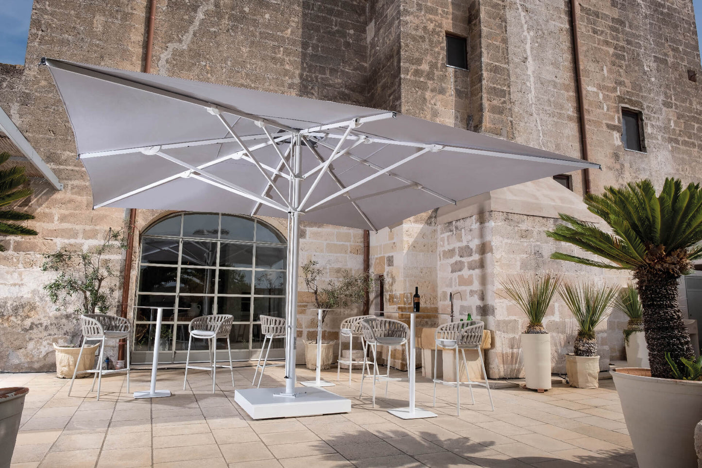 Scolaro saulessargs Capri
