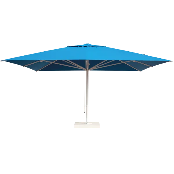 Scolaro saulessargs Capri