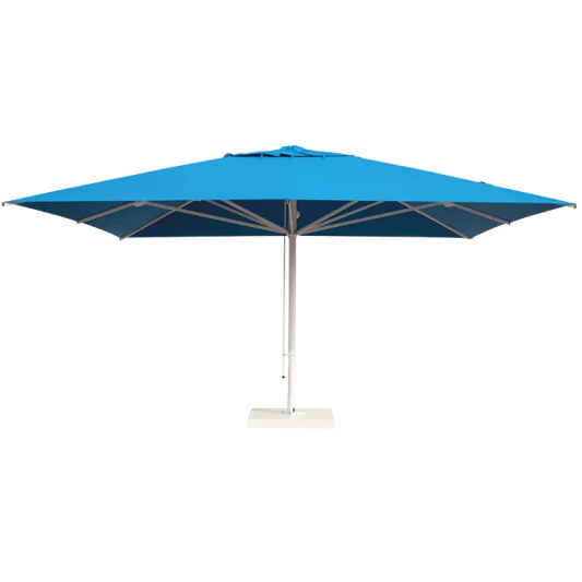 Scolaro saulessargs Capri