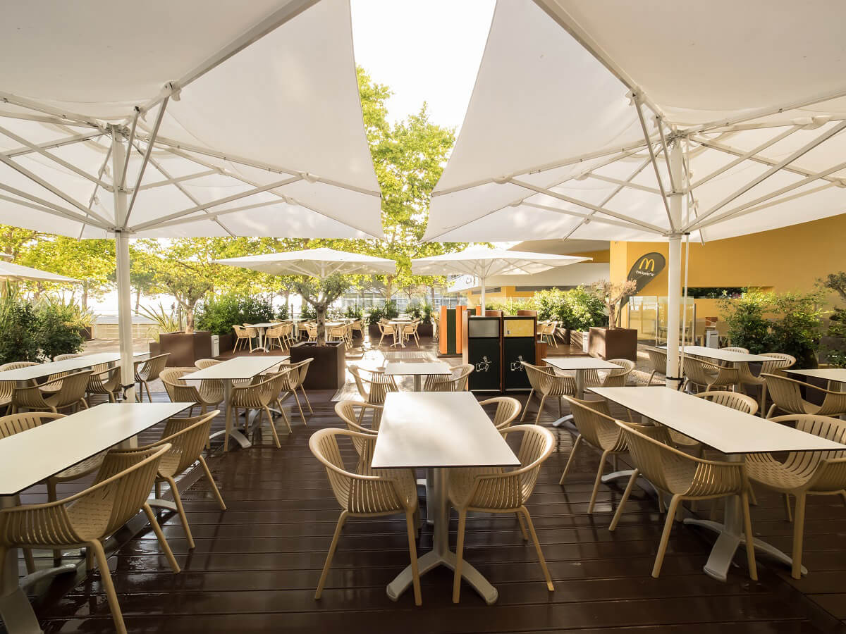 Scolaro saulessargs Capri