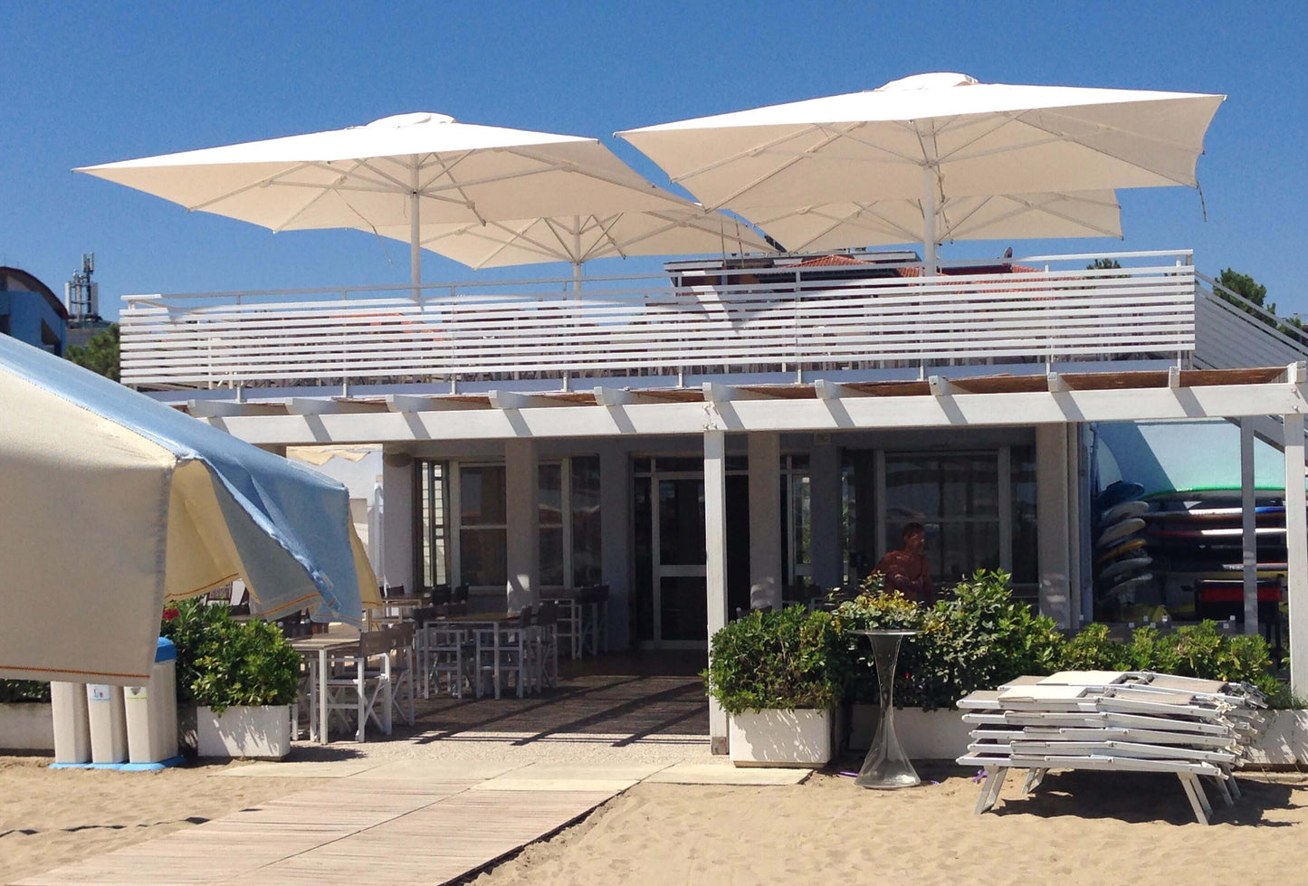 Scolaro saulessargs Capri