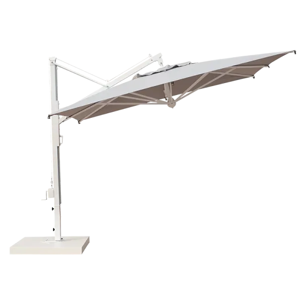 Scolaro saulessargs Galileo