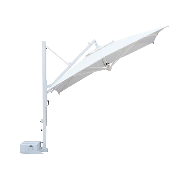Scolaro saulessargs Galileo