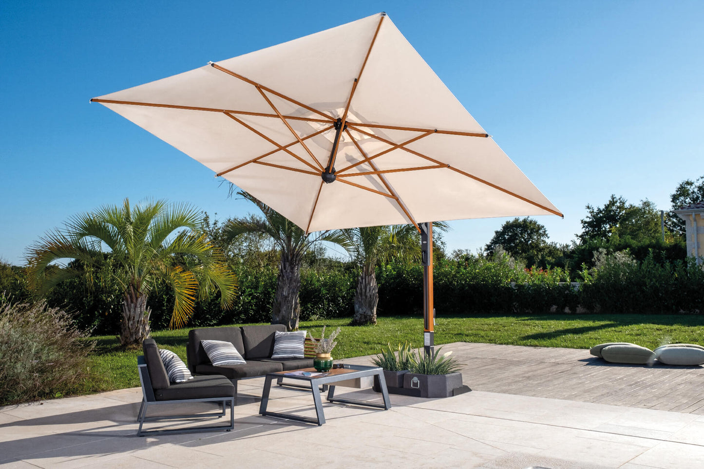 Scolaro saulessargs Galileo