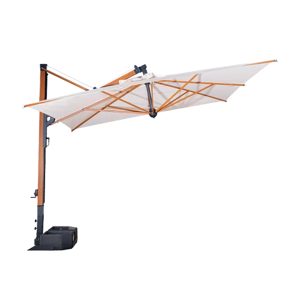 Scolaro saulessargs Galileo