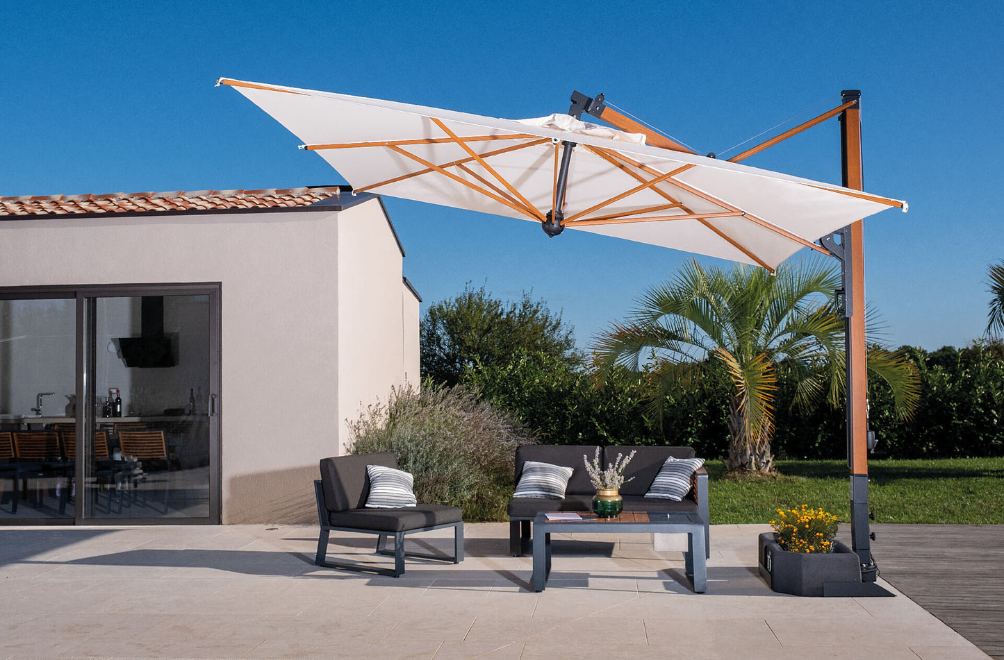 Scolaro saulessargs Galileo