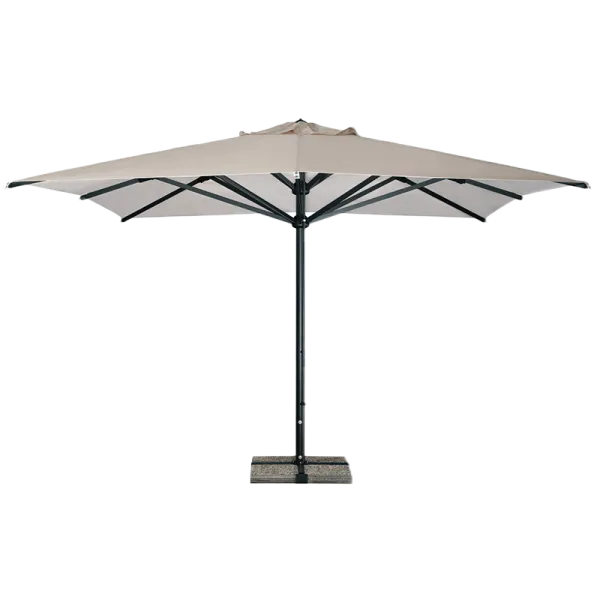 Scolaro saulessargs Verona