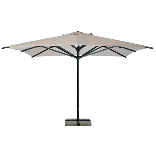 Scolaro saulessargs Verona