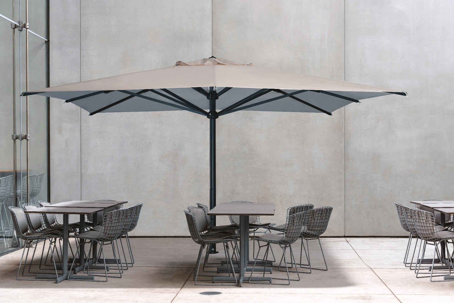 Scolaro saulessargs Verona