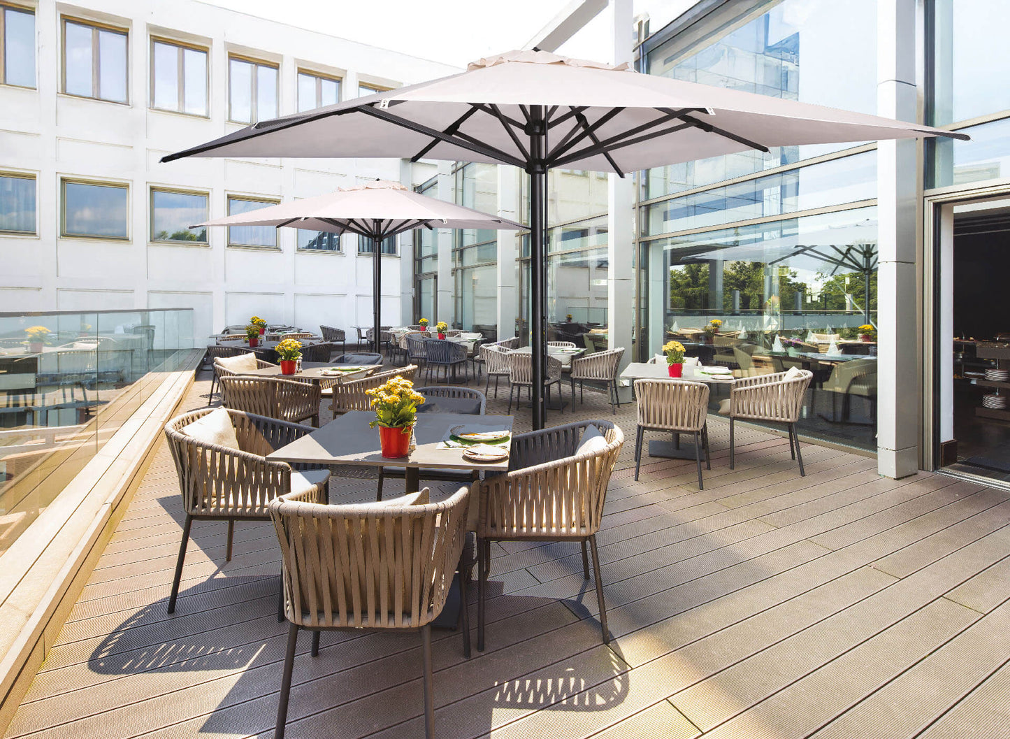 Scolaro saulessargs Verona