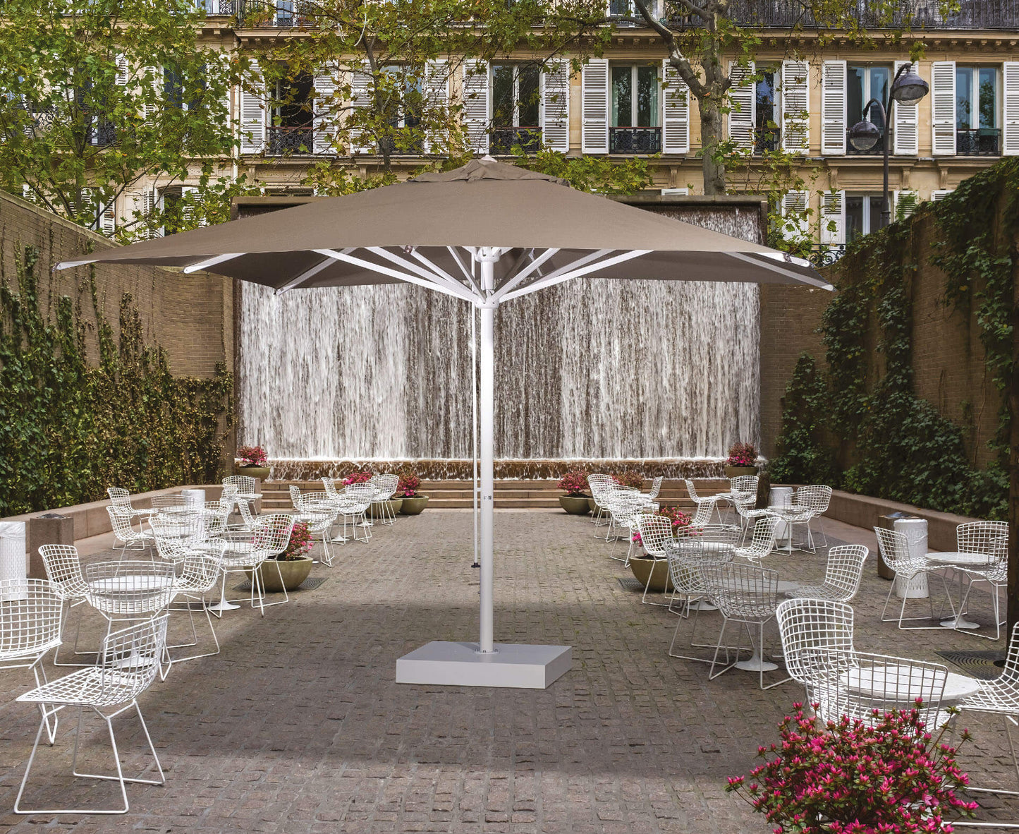 Scolaro saulessargs Verona